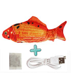 Red carp with fish food