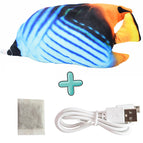 Butterfly fish with fish food