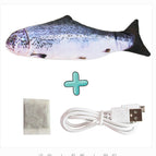 Salmon fish with fish food