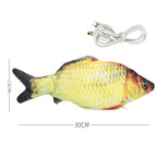Carp
