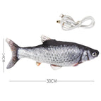 Crucian carp
