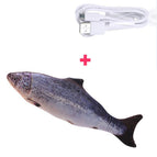Salmon