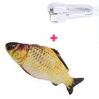 Crucian carp
