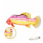 Tropical Fish