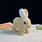 Rabbit / 16cm Color Box Package