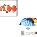 Set E