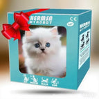 Cat White / 16cm Color Box Package