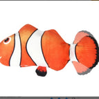Clownfish B 2pcs