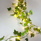 Two color Ivy Vines / 5M 50LEDs